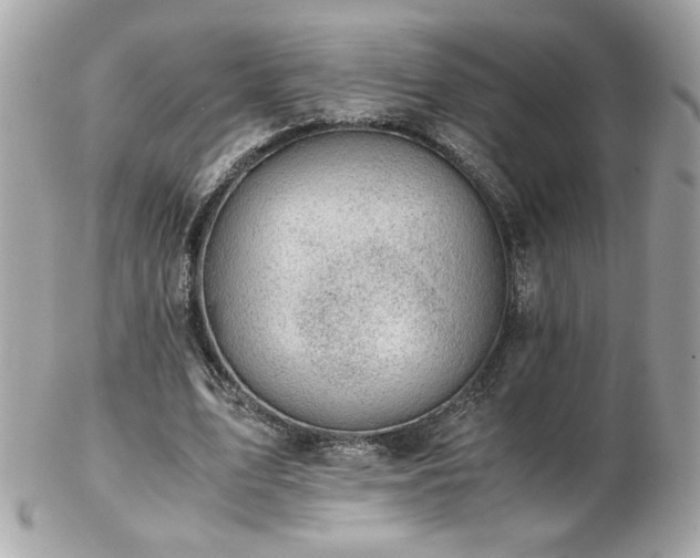 X0000103270583200808291242