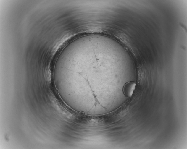 X0000103270584200808291242