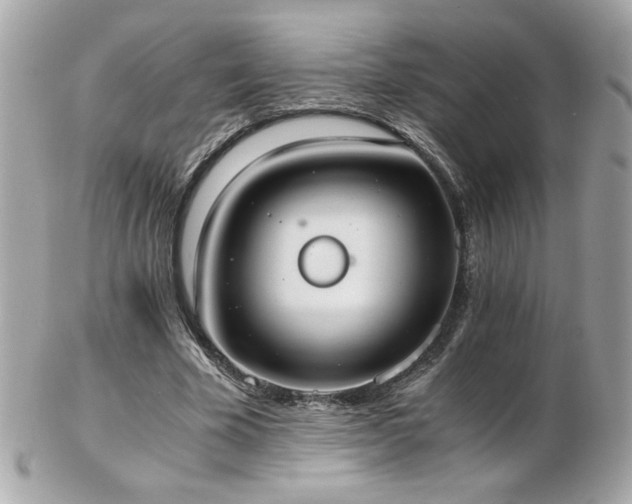 X0000103270585200808291242