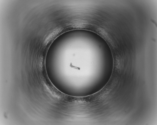 X0000103270586200808291242