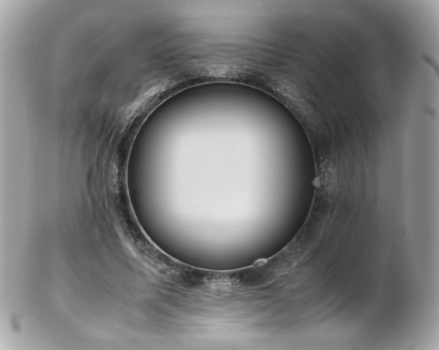 X0000103270587200808291242