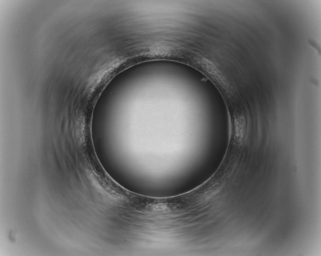 X0000103270588200808291242