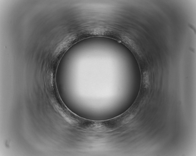 X0000103270589200808291242