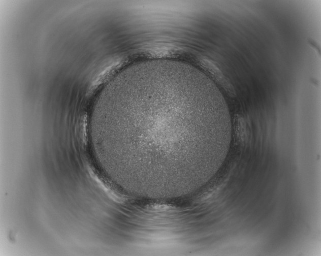 X0000103270590200808291242