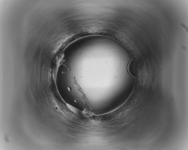 X0000103270592200808291242