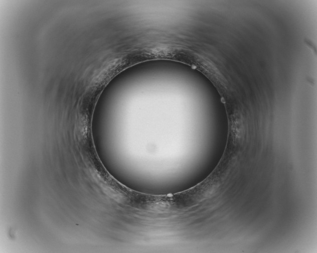 X0000103270593200808291242