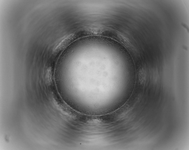 X0000103270594200808291242