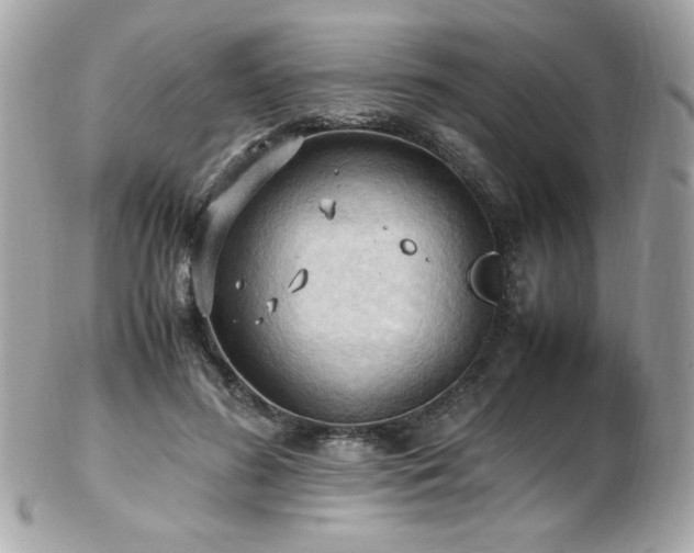 X0000103270596200808291242