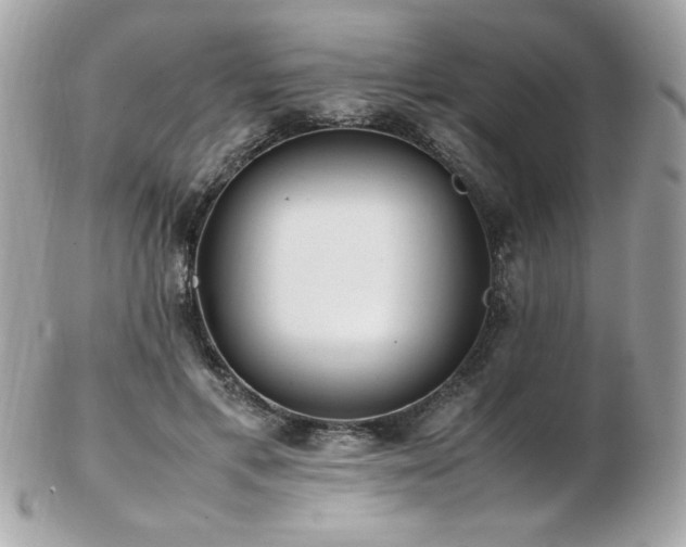 X0000103270597200808291242