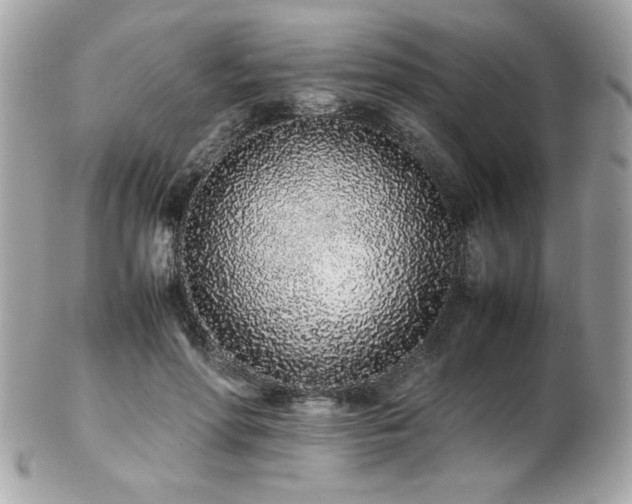 X0000103270598200808291242