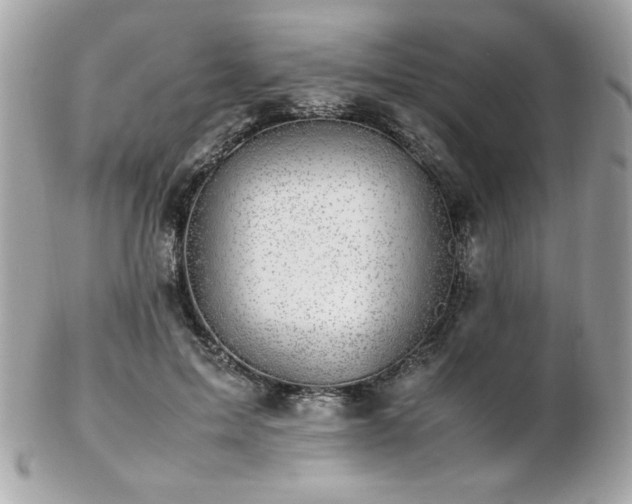 X0000103270599200808291242