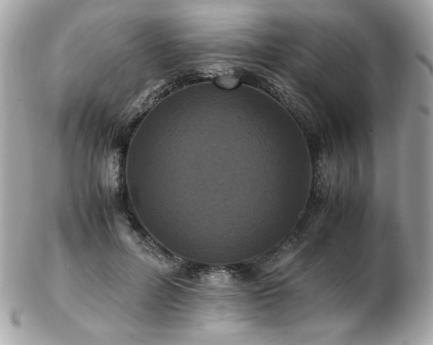 X0000103270600200808291242