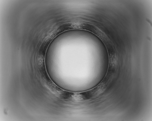 X0000103270603200808291242