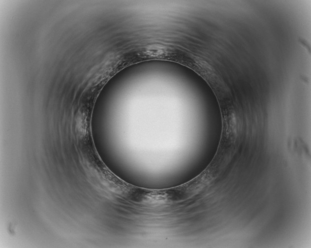 X0000103270606200808291241