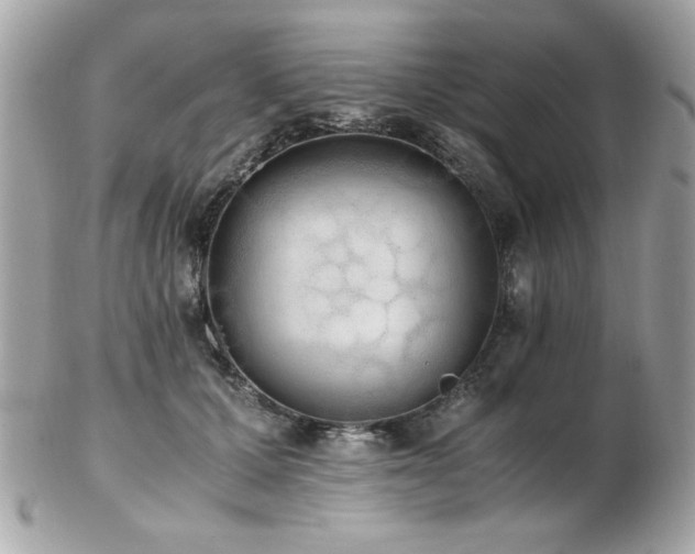 X0000103270607200808291241