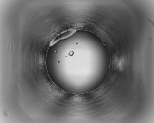 X0000103270608200808291241