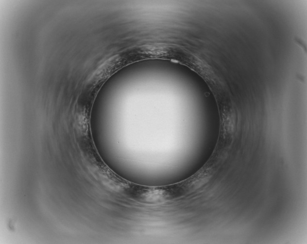 X0000103270609200808291241