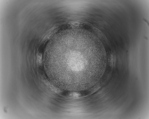 X0000103270610200808291241