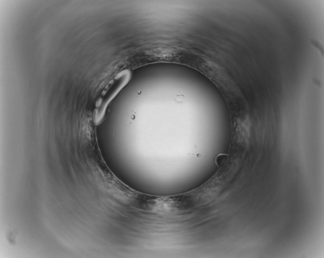 X0000103270612200808291241