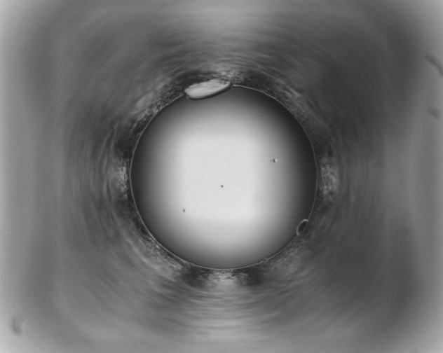 X0000103270613200808291241