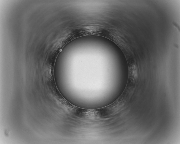 X0000103270615200808291241