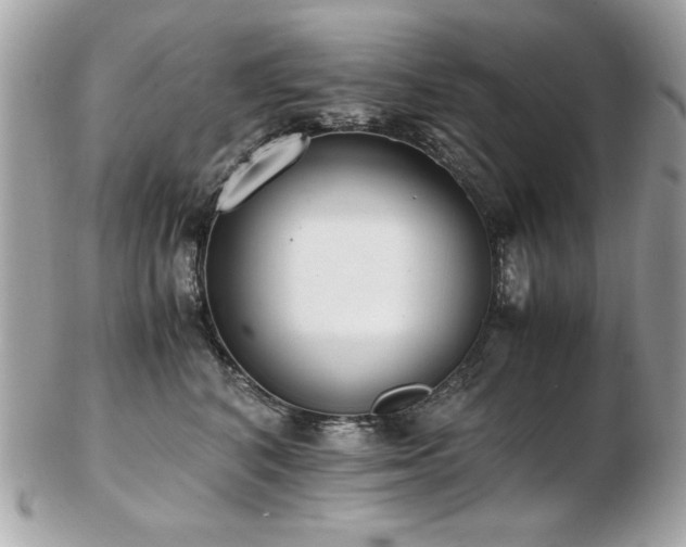 X0000103270616200808291241