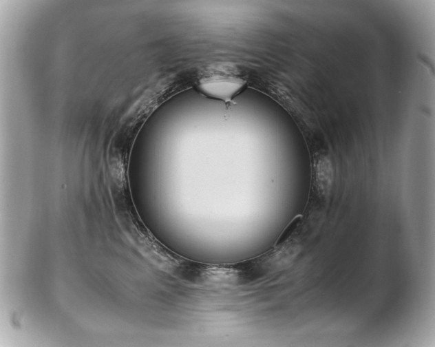 X0000103270617200808291241