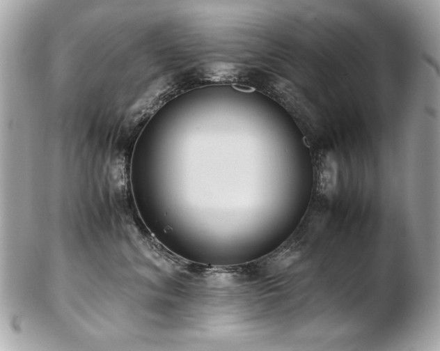 X0000103270620200808291241