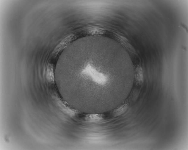 X0000103270622200808291241