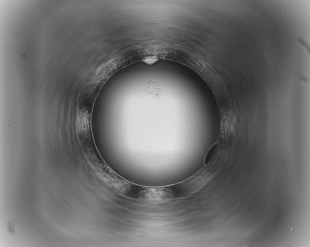 X0000103270623200808291241