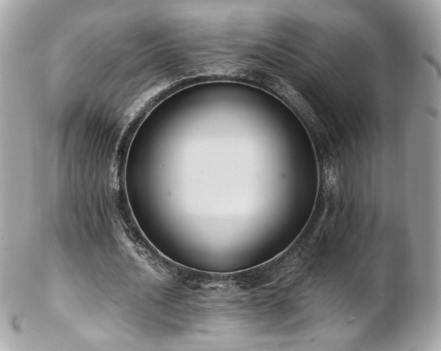 X0000103270628200808291241