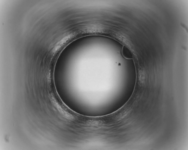 X0000103270629200808291241