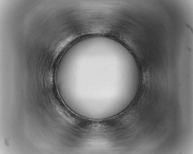 X0000103270632200808291241