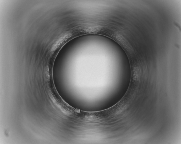 X0000103270634200808291241