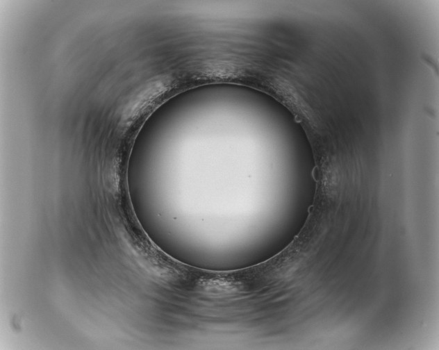 X0000103270635200808291241