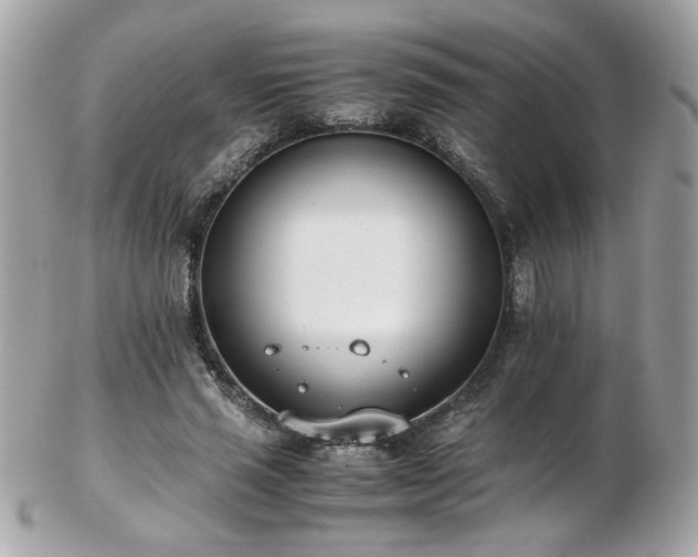 X0000103270637200808291241