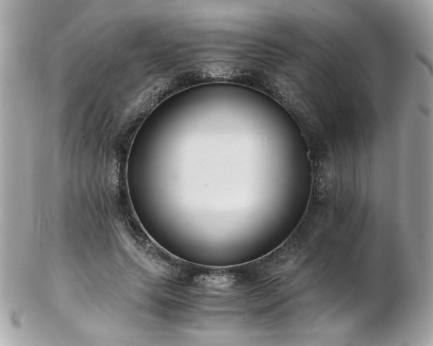 X0000103270639200808291241