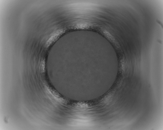 X0000103270640200808291241