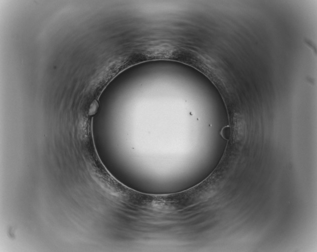 X0000103270641200808291241