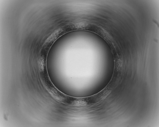 X0000103270644200808291241