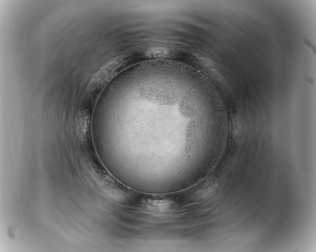 X0000103270645200808291241