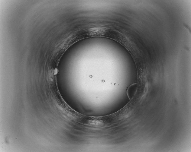 X0000103270649200808291241