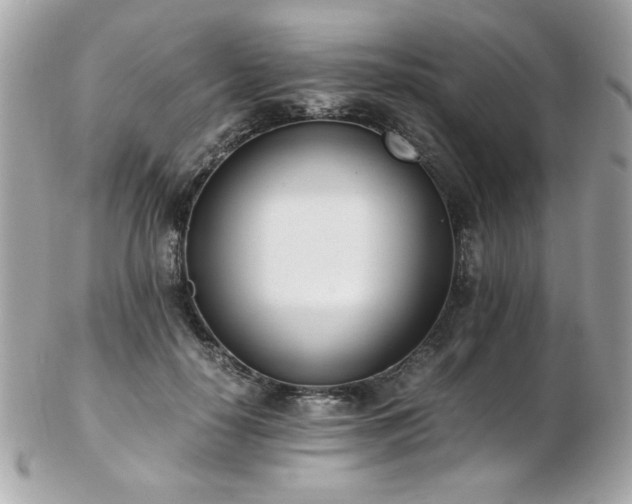 X0000103270650200808291241