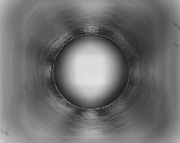 X0000103270652200808291241