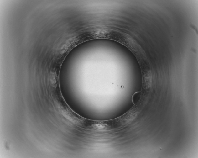 X0000103270654200808291241