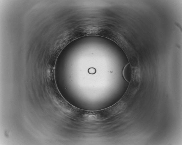 X0000103270655200808291241