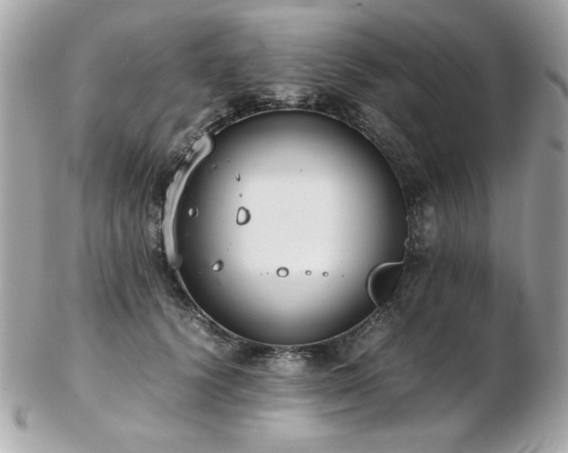 X0000103270656200808291241