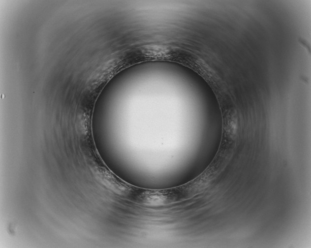 X0000103270658200808291241