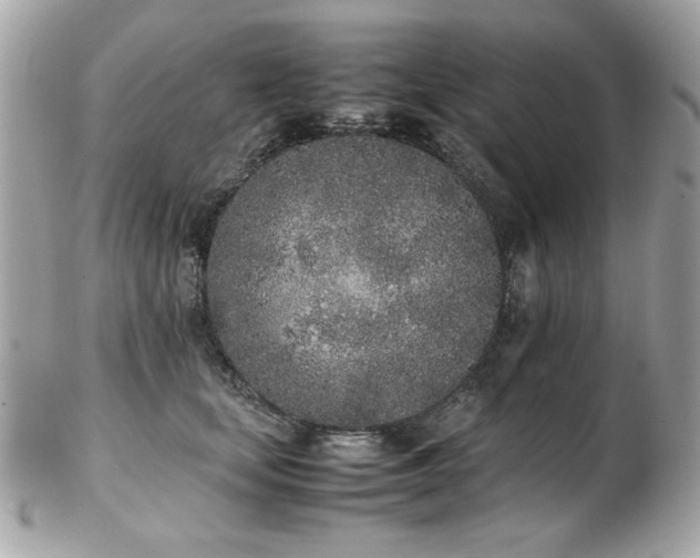 X0000103270659200808291241