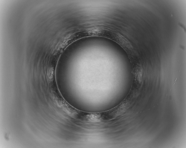 X0000103270660200808291241